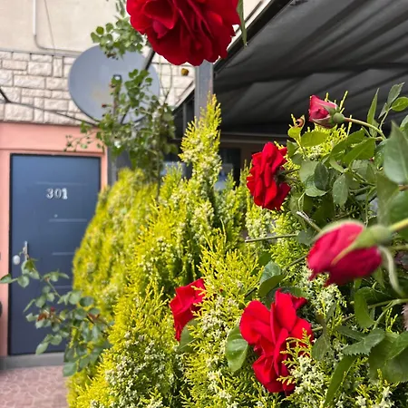 Rose 3* Poreč